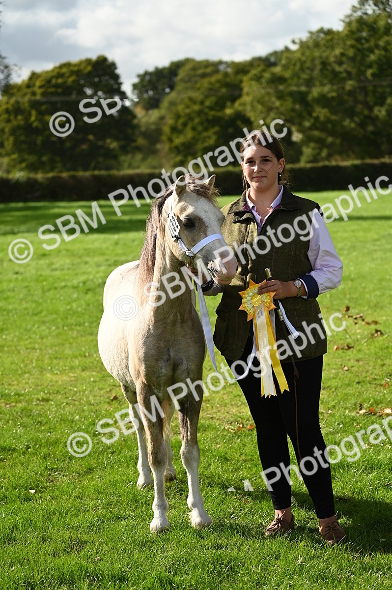 SBM_25056 - S5 - Novice & Newcomer In hand