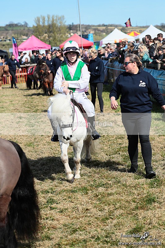 Shet 060426 87 - Shetland Pony Racing Paxford Races Easter Mon 06/04/26