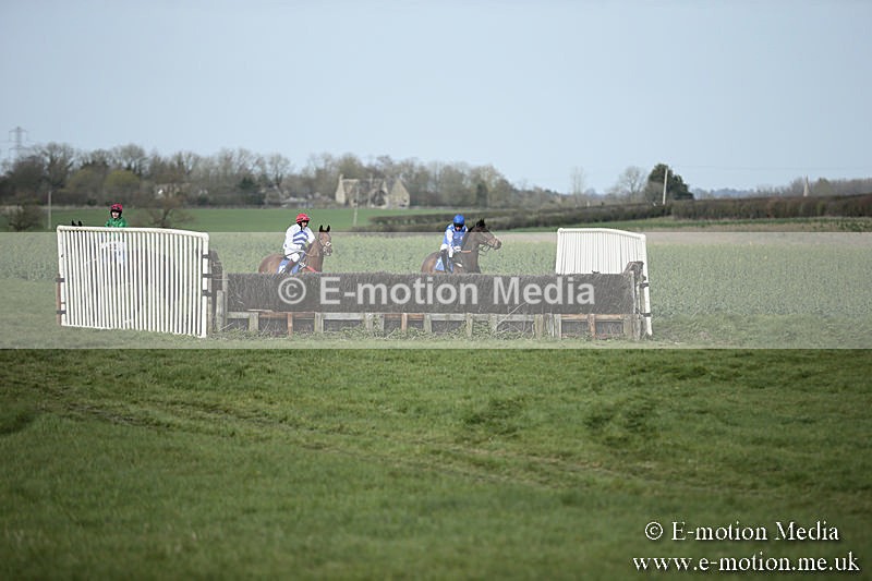 PtP 230319 312 - VWH Hunt Siddington Point-to-Point Racing 23/03/19