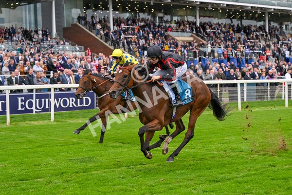 101025-Race 4-Thaluna-6827 - Race 4 William Hill Best Odds Guaranteed EBF Novice Stakes at York