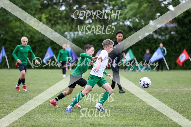 1DX32506 - The Croft V Tregoze