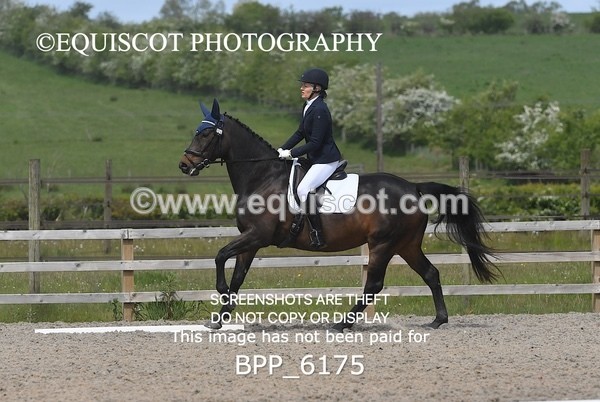 BPP_6175 - 8 S LAVERS
