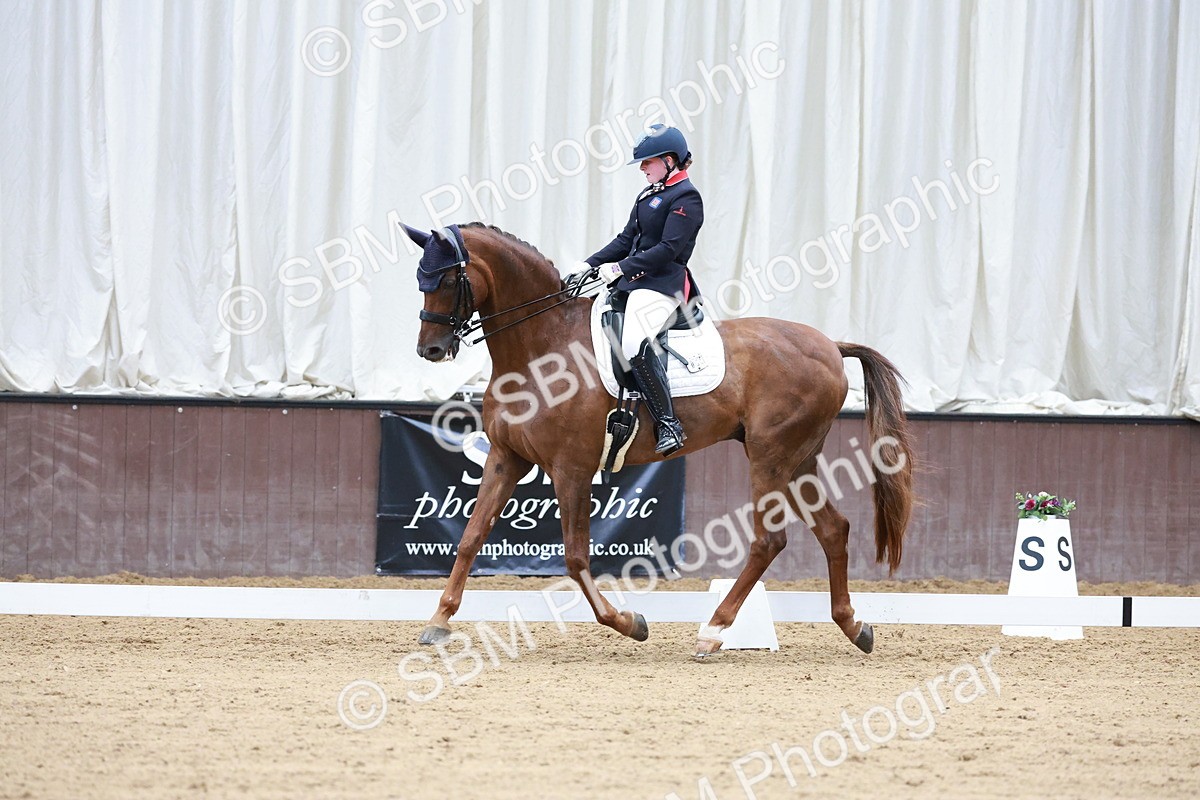 SBM_017925 - Class 15 - FEI Junior