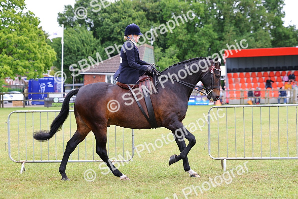SBM_02819 - Class 9-11 Side Saddle including LIHS Rising Star Ladies Show Horse