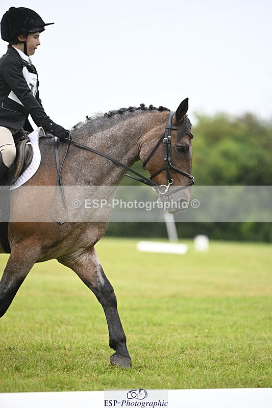 240824X-092314-21256 - D70 Section A and B 8.30 to 9.30