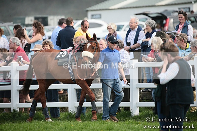 PtP 210418 310 - South & West Wilts Point-to-Point Larkhill 21/04/18