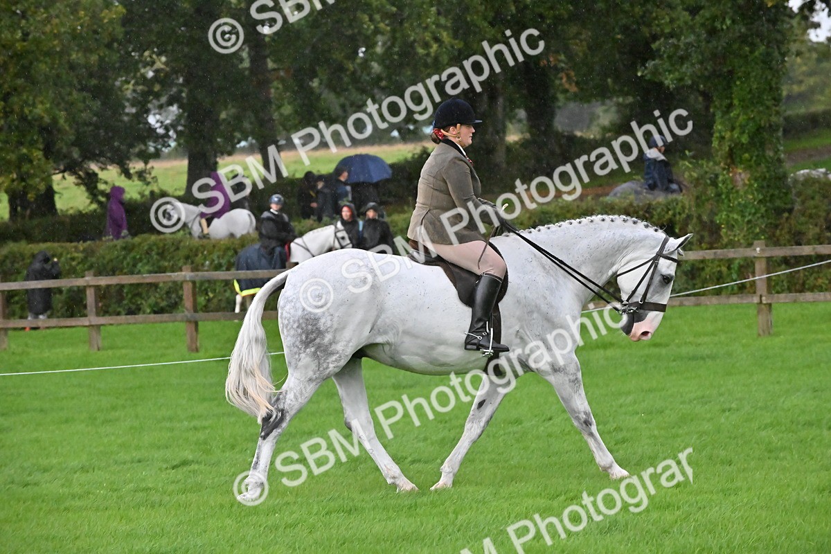 SBM_35687 - S16 - Top Turnout - Ridden