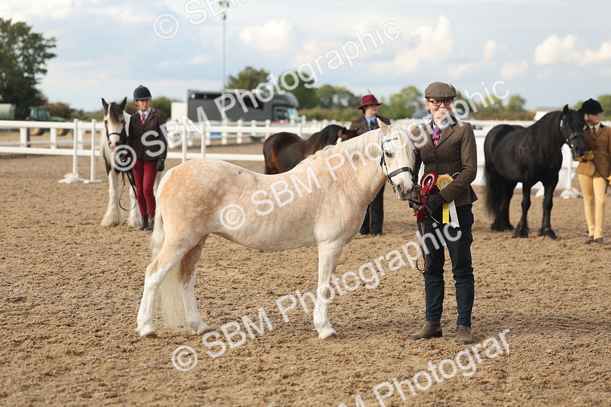 SBM_08583 - Class 29 - IH Veteran Pony