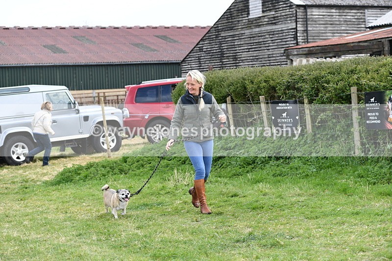 WJ5_0084 - Class 5 Best Veteran / 7 years & over