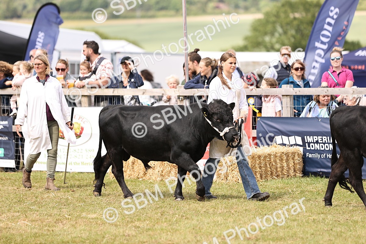 SBM_16901 - Grand Parade