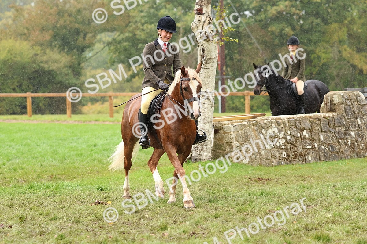 SBM_69725 - S62 - Mountain & Moorland Ridden Large Breeds