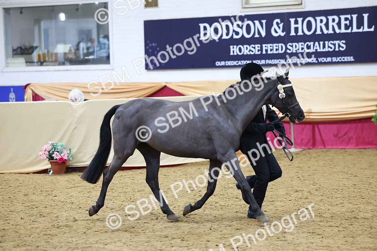 SBM_20923 - Class 902 - Supreme Final IH Veteran