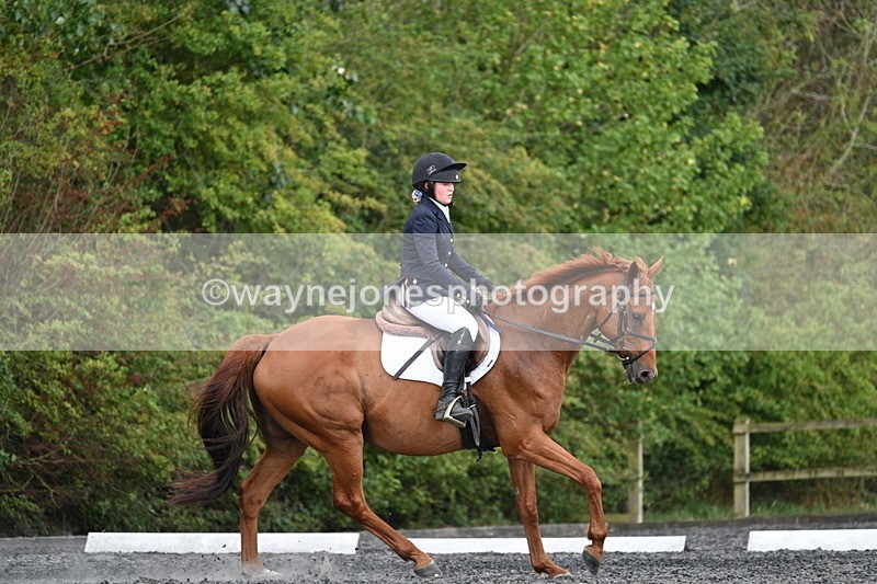 WJ7_7917 - Time 13:40 to 14:00