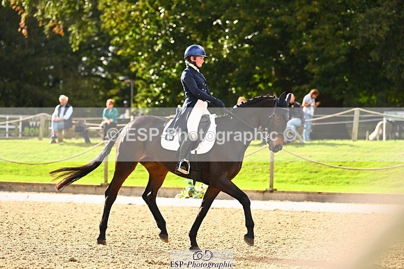 231020-142156-09922 - 307-WELLAN.GRAFFITI-Molly.Evans-DR