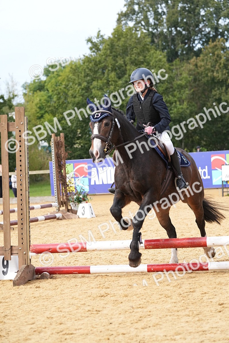 SBM_70554 - J3 - Mini Tour Junior Pony 40cm Championship