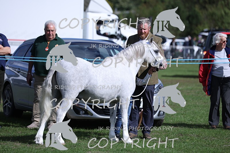 APP_2762 - Class 10a/b M&M in hand