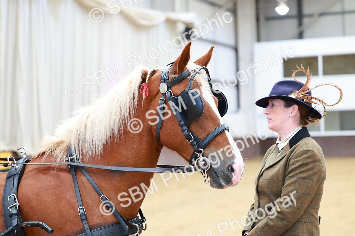 SBM_000658 - Class 11 - Peter Howell Memorial Gentlemen Whip