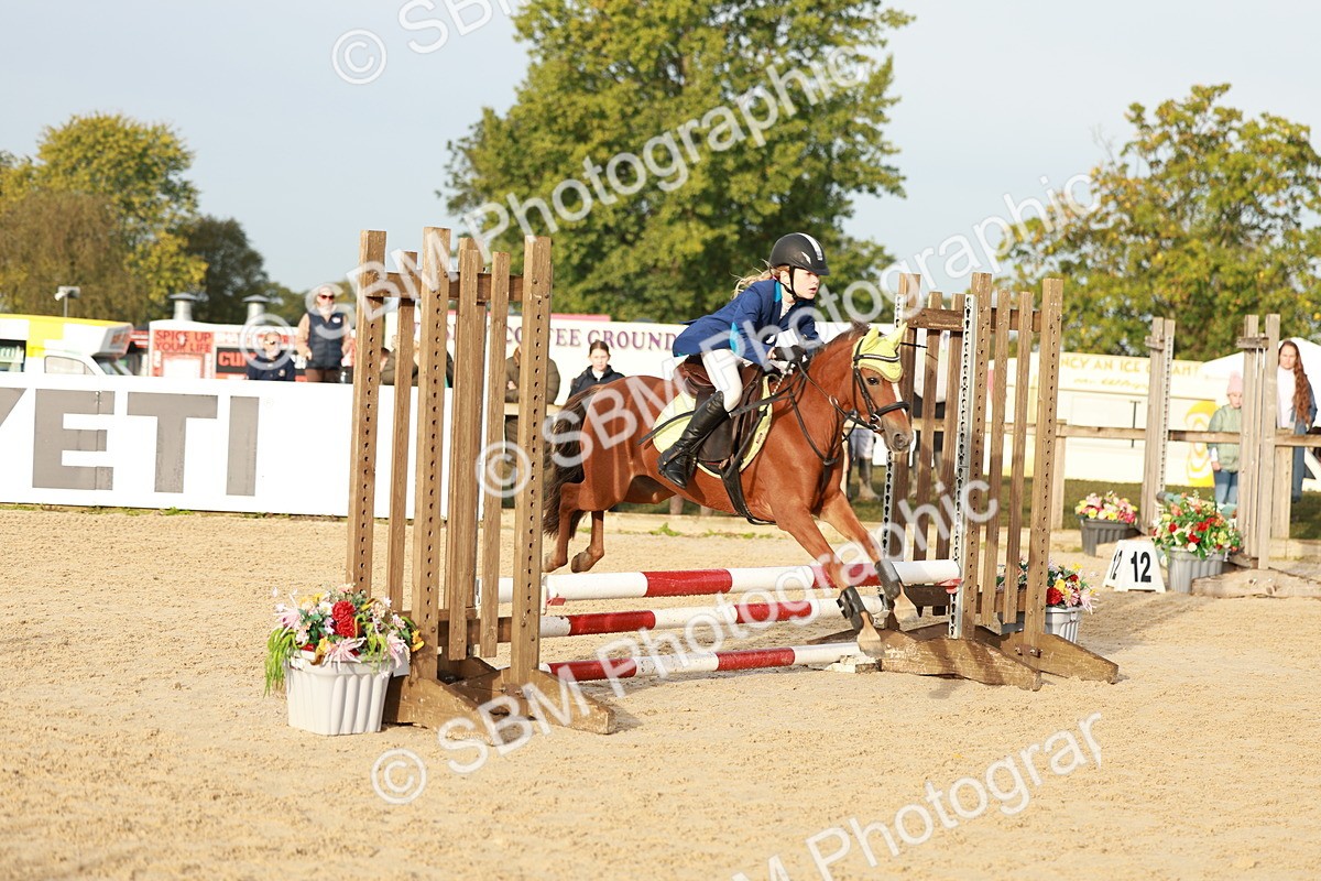SBM_55445 - J11 - Junior Pony 50cm Championship