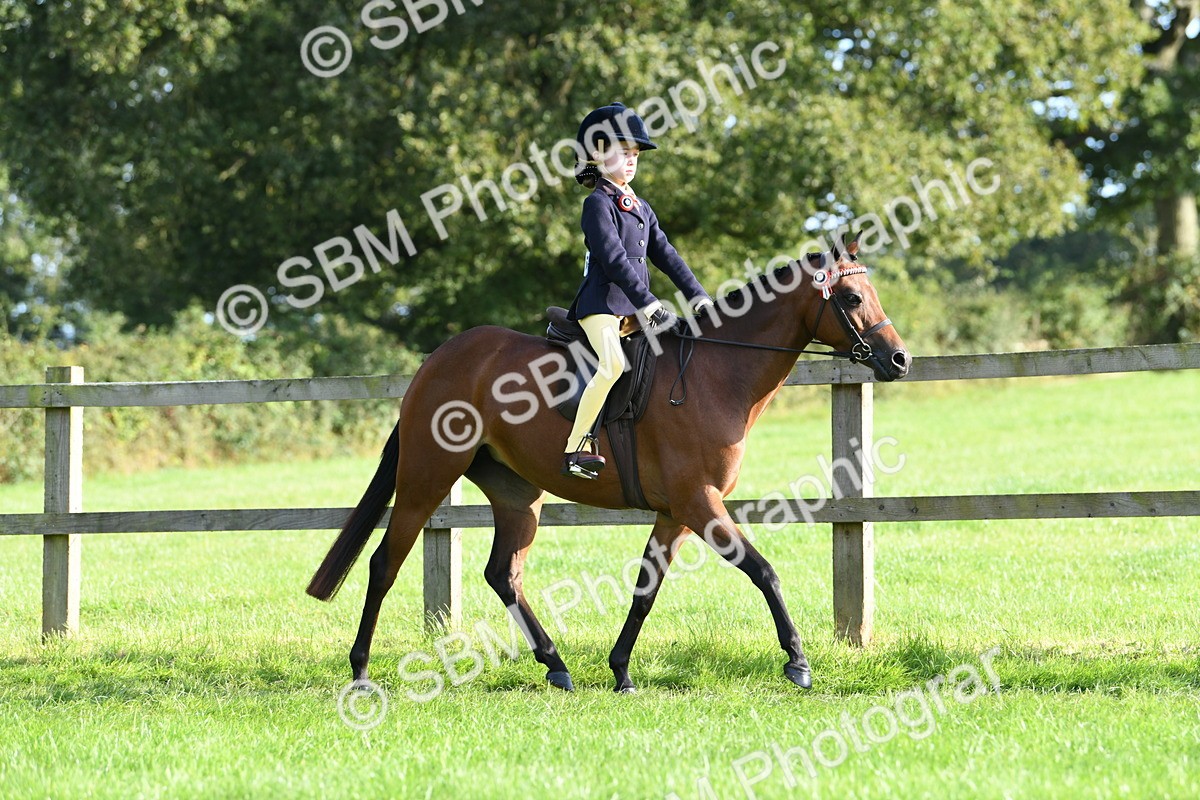 SBM_52376 - S22 - 1st Ridden Show & Show Hunter Pony
