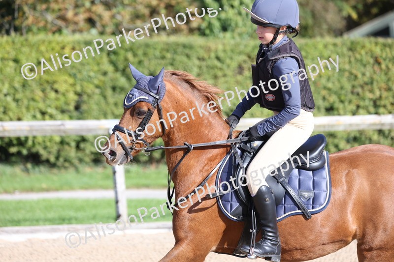 20251005-0148 - Class 2 - 50cm