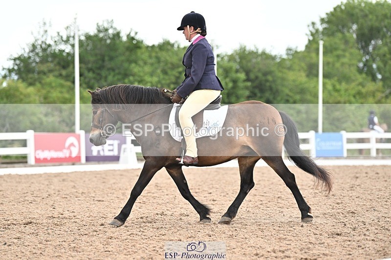 250705-175521-03988 - BRCP4 Sections BRCP4SNR, BRCP4JNR 13.50 to 14.53