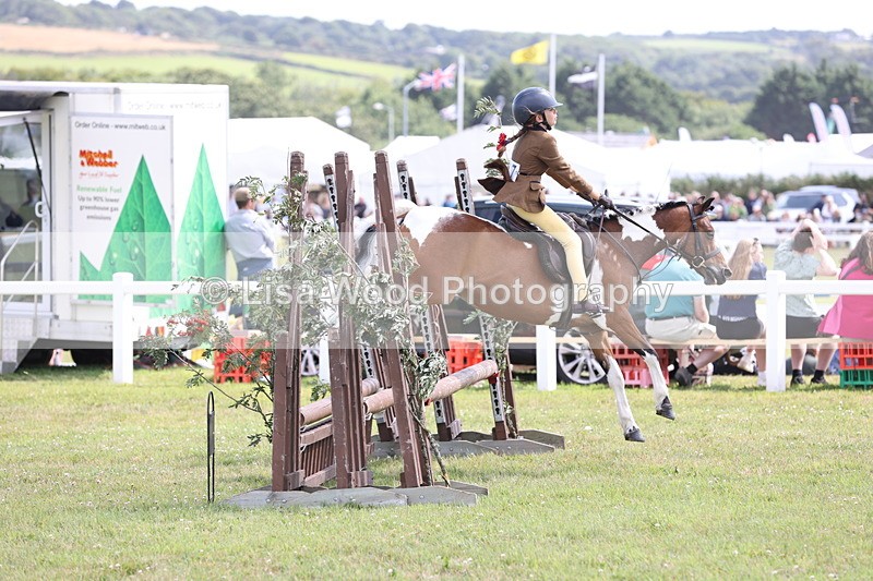 JPP_2167 - Class 19: Working Hunter 60cm