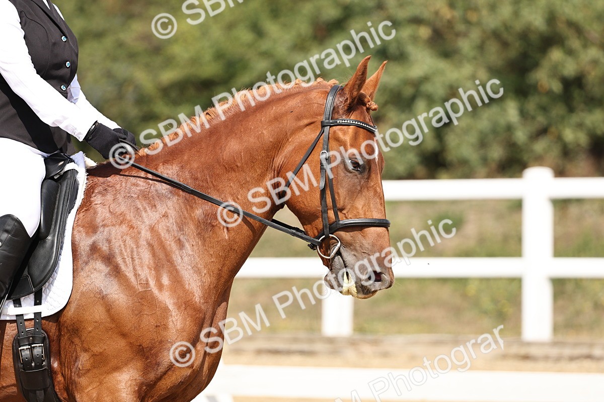 SBM_018368 - Class 16 - Novice 5 - 11.12-12.01