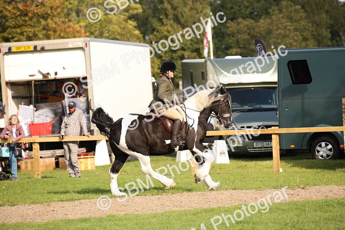 SBM_50136 - S26 - Young Veteran - Ridden