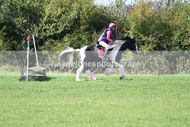 WJ7_0156 - Time 12:53 to 13:03