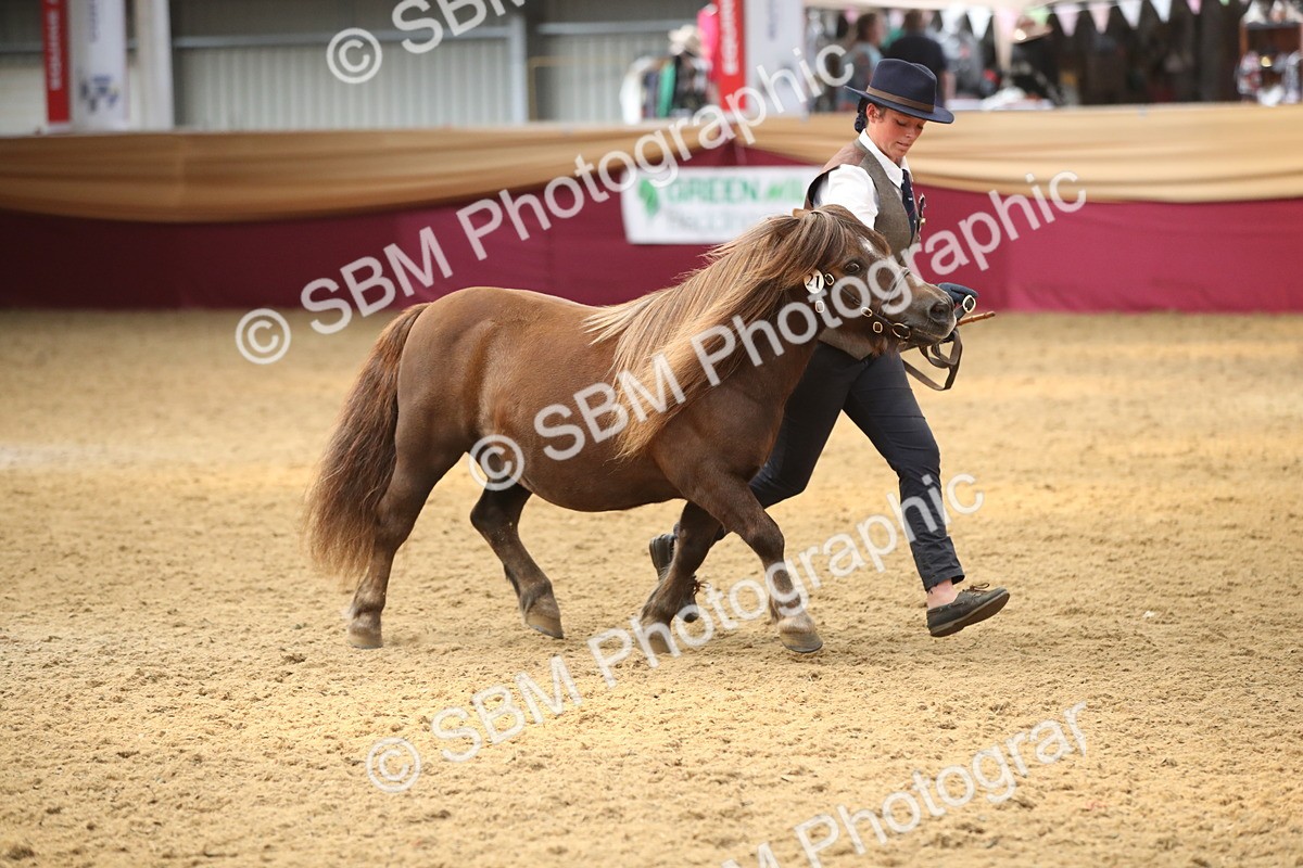 SBM_05321 - Class 8R - Regional IH Veteran