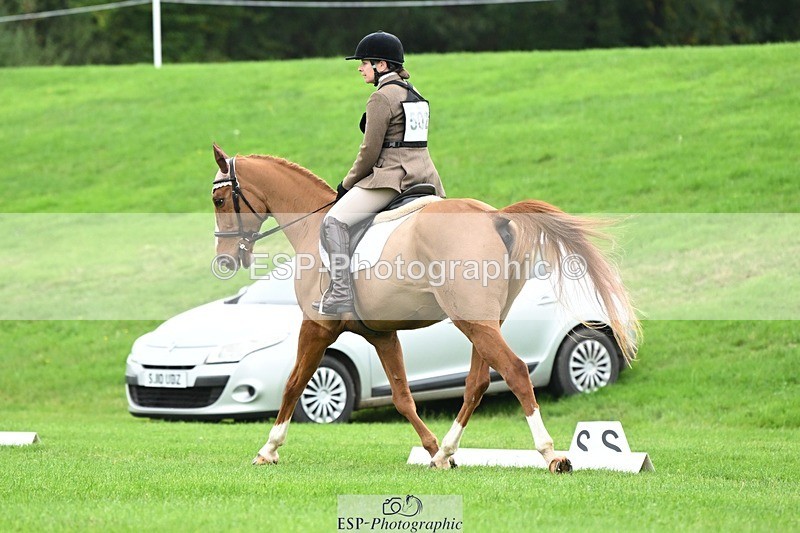 241024-105652-03099 - 502-Alison.Stewart-RICO.III