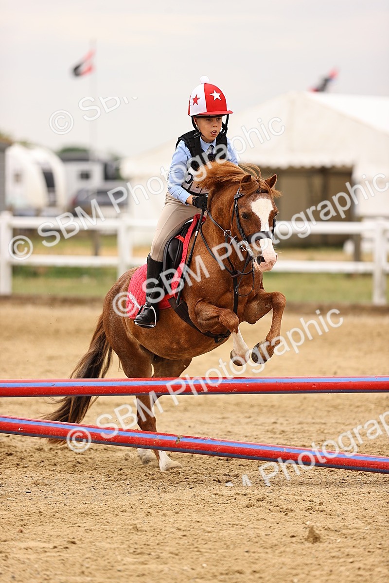 SBM_002178 - Class 3 - 60cm