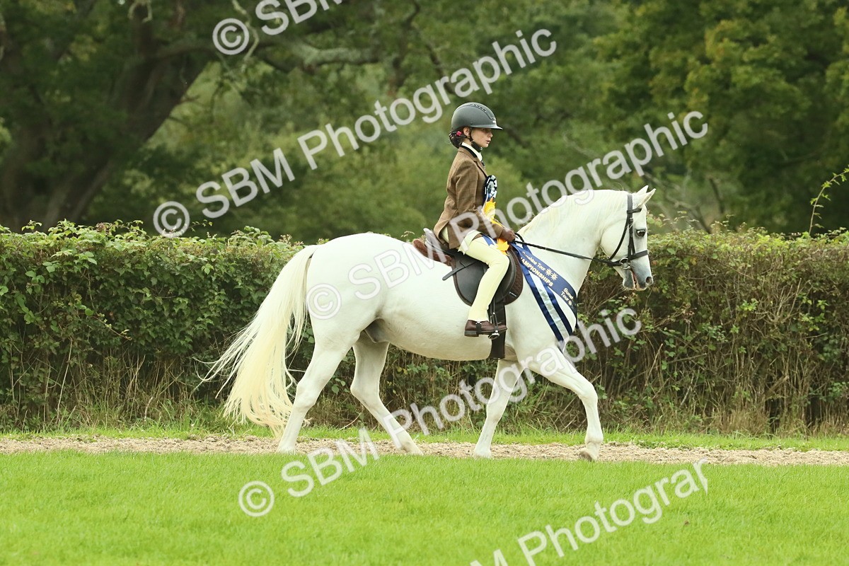 SBM_75148 - Super Supreme Championship