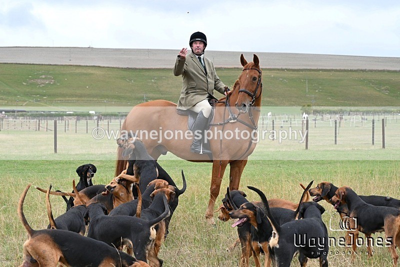 WJ7_0700 - Berks & Bucks Hound Exercise Blewbury 13-09-26
