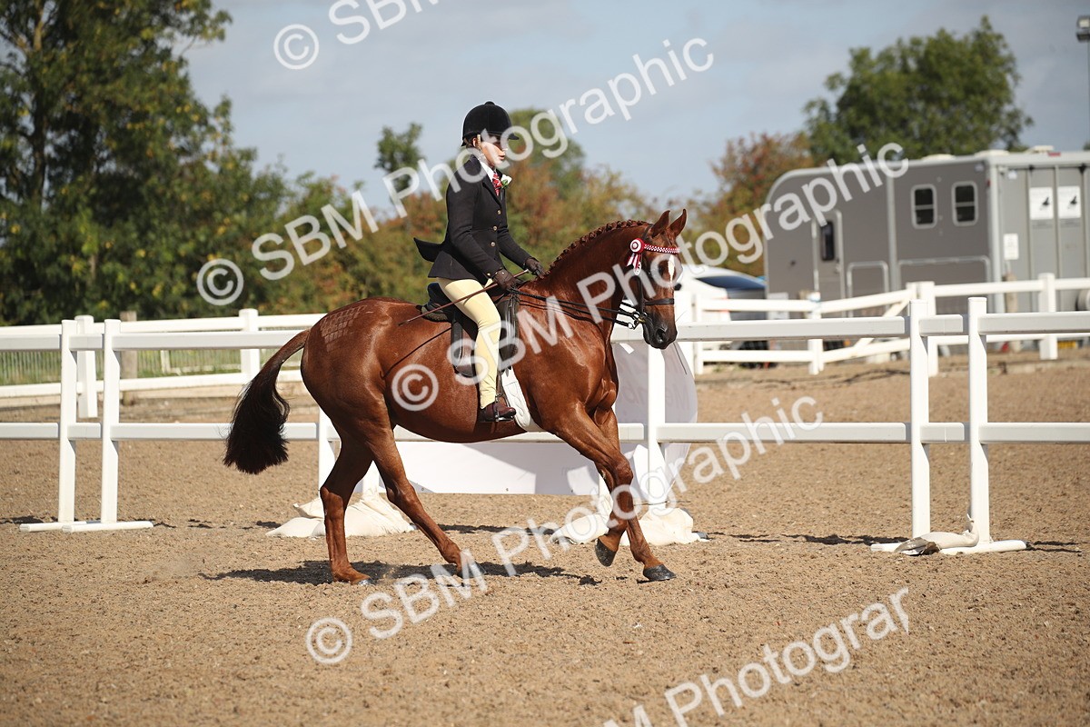 SBM_22919 - Class 603 - 2026 - Ridden Pre Vet