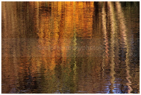 Autumn Time. - Art And Nature