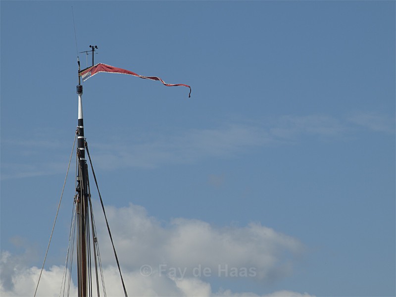 - Home in the Polder