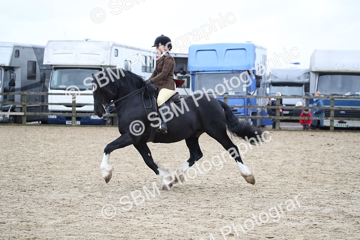 SBM_006381 - Class 10-13 - RIHS Small Large Breeds