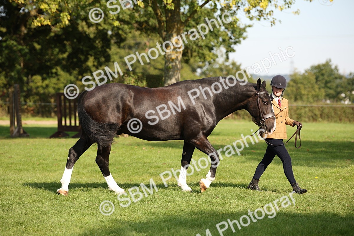 SBM_61190 - S54 - Show Cob In Hand