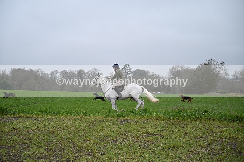 WJ7_9691 - Walk out..