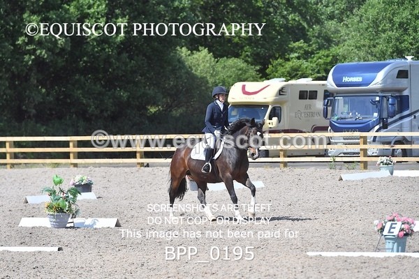 BPP_0195 - SHORT ARENA  MY QUEST PRELIM