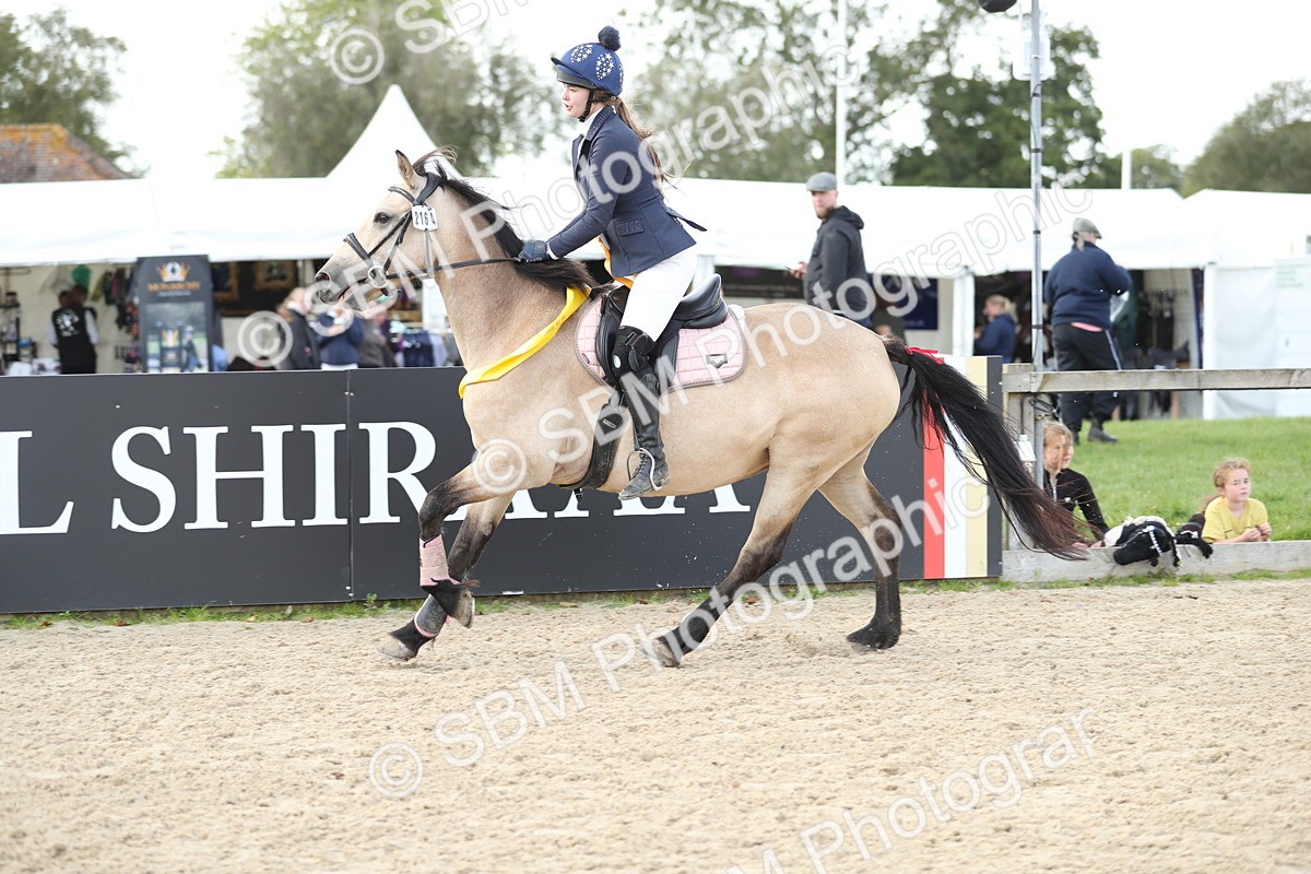 SBM_06571 - J29 - Senior Horse & Pony 65cm Championship