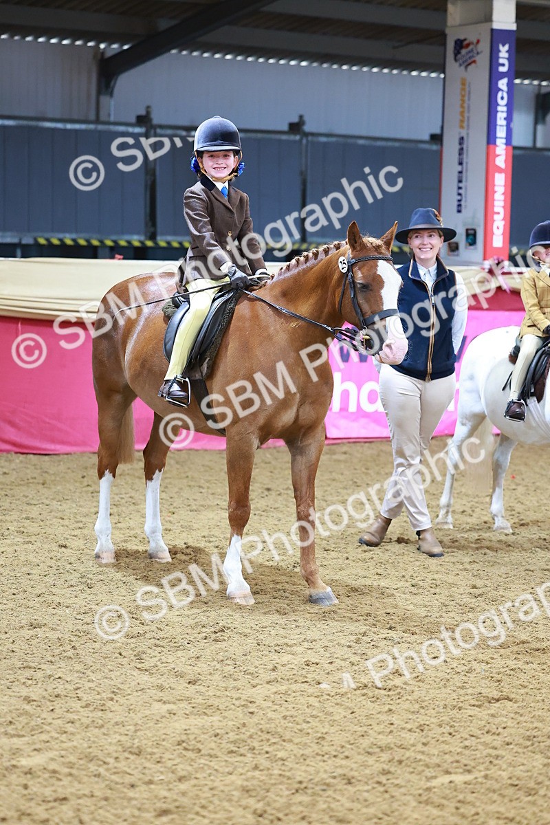 SBM_07732 - Class 101 - HOYS Veteran Qualifier - Ridden Diamond