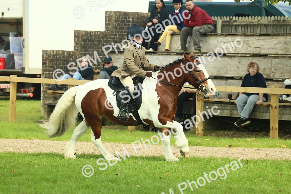 SBM_68847 - S58 - Mini Show Cob Ridden