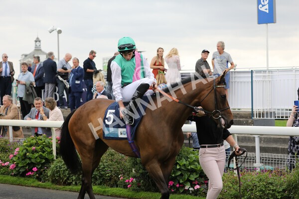 yr18082022r5-5 - Race 5 4.10pm British EBF & Sir Henry Cecil Galtres Stakes