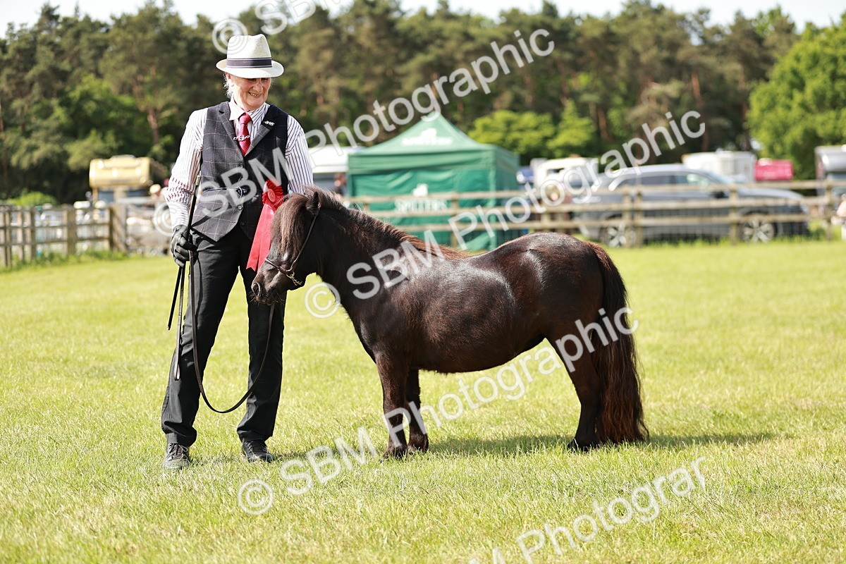 SBM_01923 - Class 14-23 - Mountain & Moorland In Hand Non Welsh