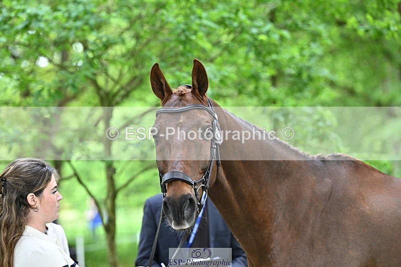 250521A-144245-00185 - A-055-Annabel.Finston-BRAVEHEART.B