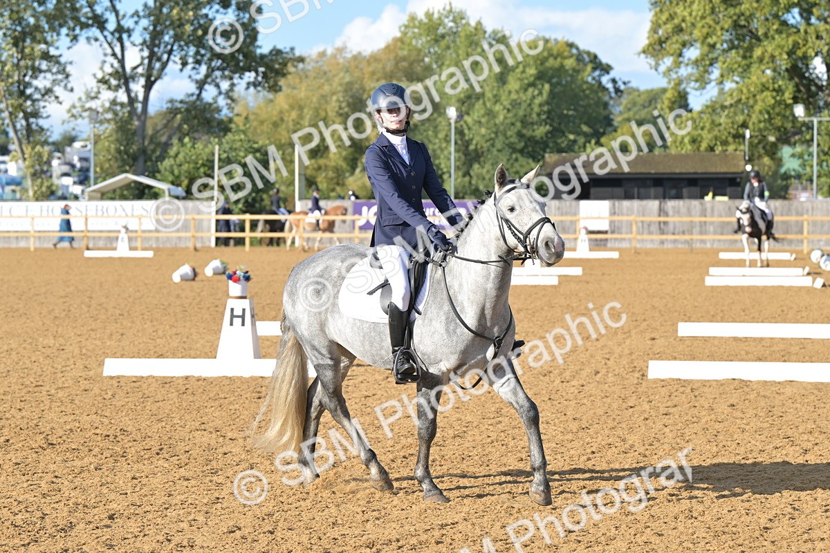 SBM_12956 - D3 - Small Tour Championship Intro 3