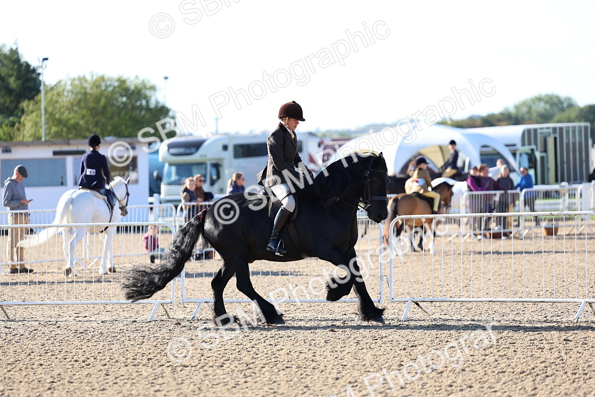 SBM_08779 - Class 302 - Ridden M&M - Large Breeds