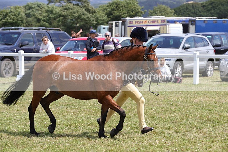 1X9A4810 - Class 35: Veteran In Hand